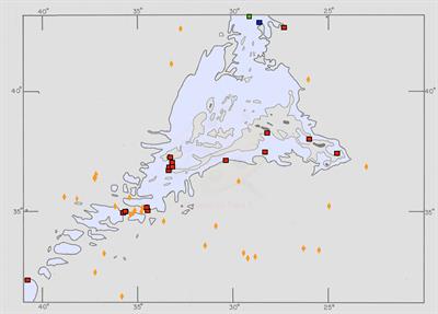 Commentary: Numerous sublinear sets of holes in sediment on the northern Mid-Atlantic Ridge point to knowledge gaps in understanding mid-ocean ridge ecosystems